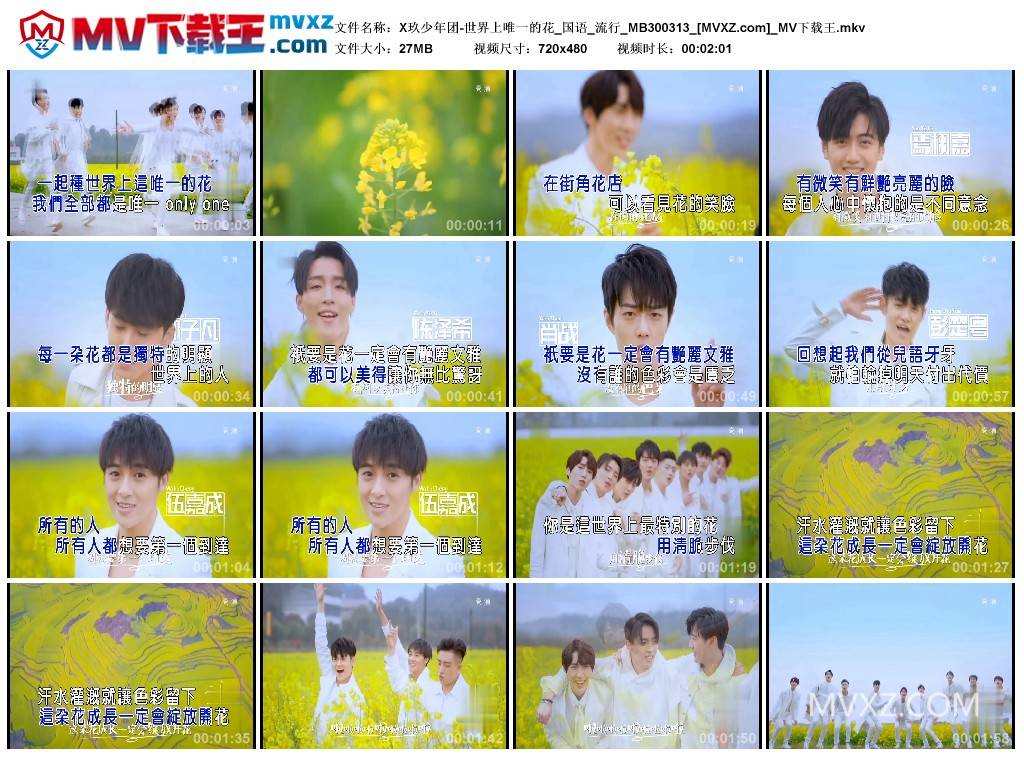 X玖少年团-世界上唯一的花_国语_流行_MB300313